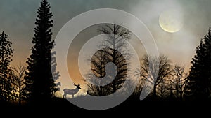 Deer in the Forest with Birds Silhouette 4K Loop