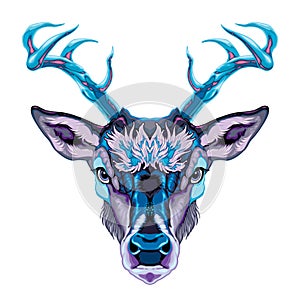 Deer frontal view, vector isolated animal