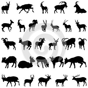 Deer and goats silhouettes set