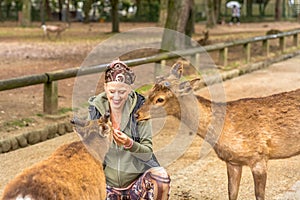 Deer harassing tourists