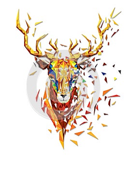 Deer head lowpolygon geometric pattern vector eps10