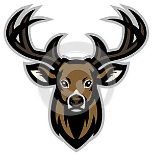 Deer head mascot photo