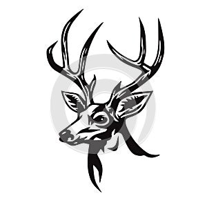 Deer Head Stylized Drawing. Logo Template Vector Illustration photo