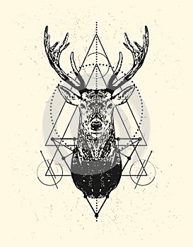 Deer head with triangle background.