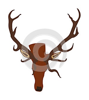 Deer head trophy with antlers vector illustration isolated on white background. Reindeer, proud Noble Deer male. Powerful buck
