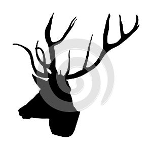 Deer head trophy with antlers vector silhouette isolated on white background. Reindeer, proud Noble Deer male. Powerful buck.