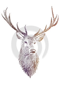 Deer head, vector