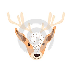 Deer head vector illustration