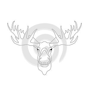 Deer head vector illustration lining draw front
