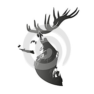Deer head vector image