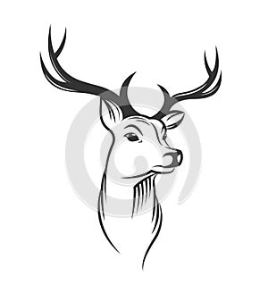 Deer head on white background