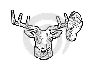 Deer with horns clothes hanger sketch vector