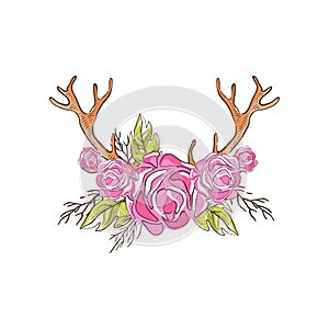 Deer horns with pink rose flowers, hand drawn floral composition with antlers vector Illustration on a white background