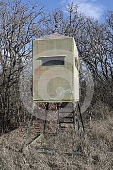 Deer hunting stand in afternoon sunshine with leafless oak trees in background