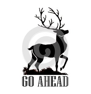 Deer Illustration - go ahead is a tag line - logo