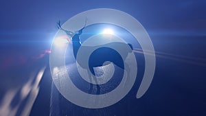 a deer infront of a car