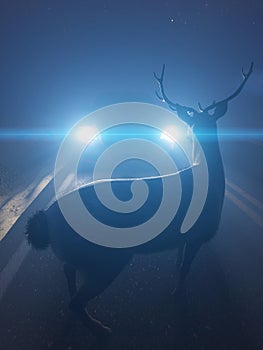 a deer infront of a car