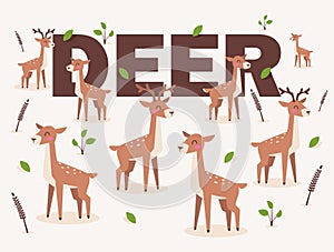 Deer isolated on white background, vector illustration in flat cartoon style. Cute spotted deer character. Pattern with