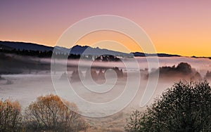 Deer Lake Park and morning fog