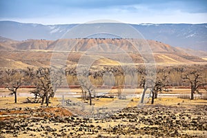 Deer Lodge Park, Colorado River View In Winter