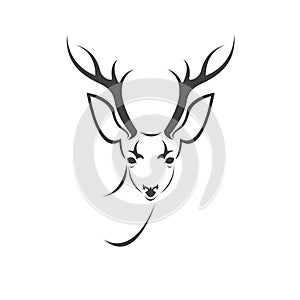 Deer logo design vector illustration. on white background. symbol. icon. Wild Animals