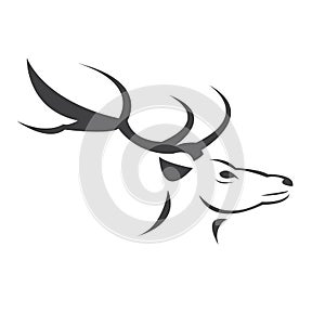 Deer logo design vector illustration. on white background. symbol. icon. Wild Animals