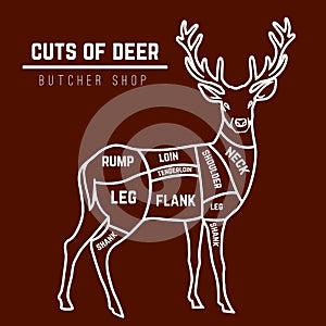 Deer meat cuts in color