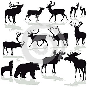 Deer and moose, reindeer silloette