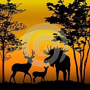 Deer and moose silhouette