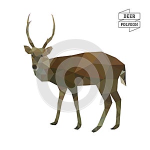 Deer polygon vector