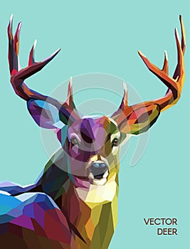 Deer polygonal illustration. Vector eps 10