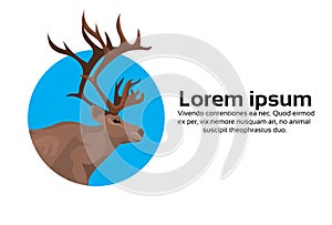 Deer portrait cartoon animal reindeer flat blue background christmas greeting card copy space horizontal