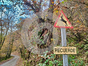 Deer Road Warning Sign next to La Pesanca, PiloÃ±a, Asturias, Spain photo