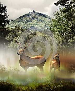 Guardians of the castle