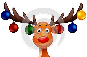 Deer Rudolf