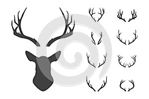 Deer s head and antlers set.