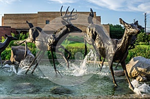 Deer sculptures