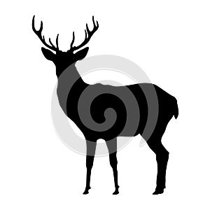 Deer shape, vector design isolated on white background