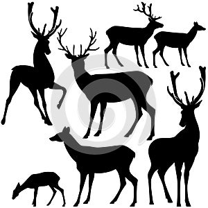 Deer silhouette set photo