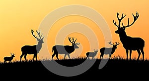 Deer Silhouette Sunset Herd of Stag Deer in Grassland