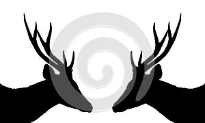 deer silhouette on white background