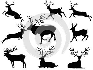 Deer silhouettes