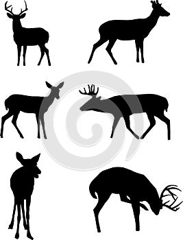 Deer Silhouettes