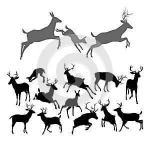 Deer Silhouettes photo