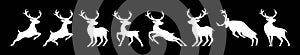 Deer Silhouettes set Vector graphics in a flat style on a transparent