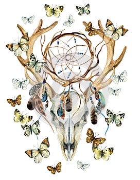 Deer skull. Animal skull with dreamcather and butterfly.