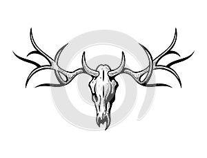 Deer skull realistic vector illustration.