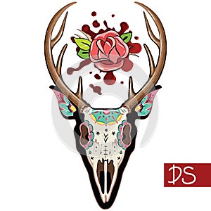 Deer Skull