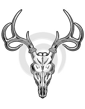 Deer Skull Vector