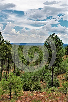 Deer Springs Outlook, Apache Sitgreaves National Forest, Navajo County, Arizona, United States